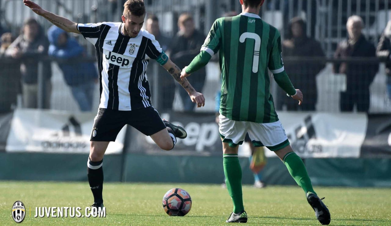 juveaveprimavera16.JPG