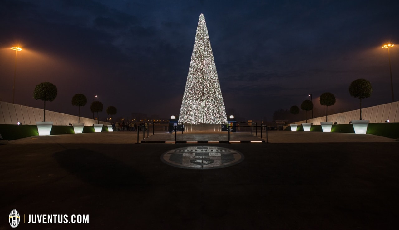 albero natale 025.JPG