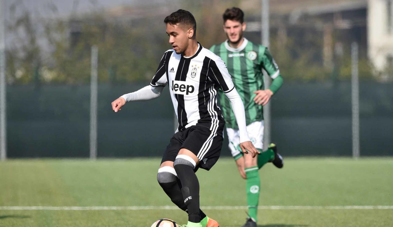 juveaveprimavera22.JPG