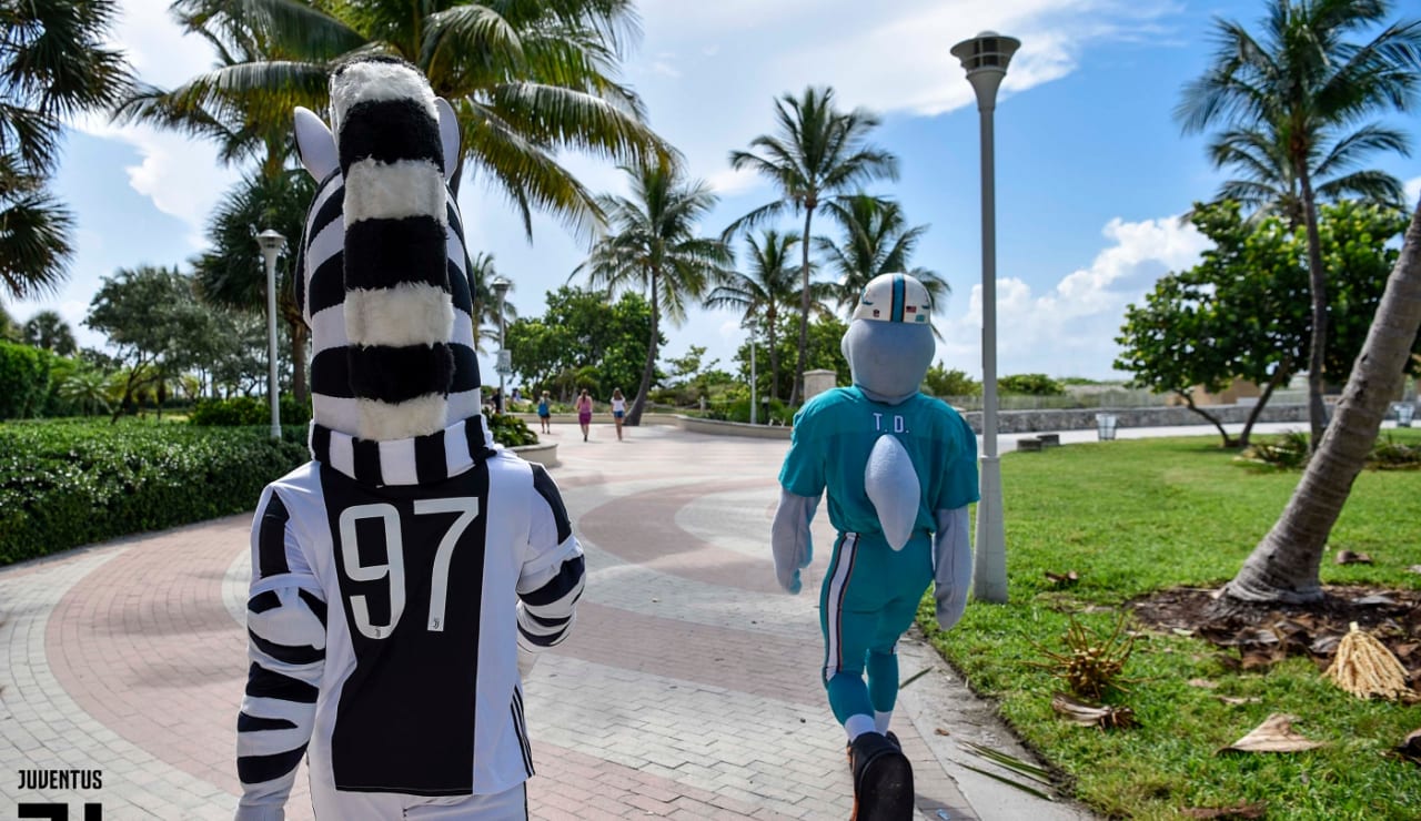 2707_JayMiami01.jpg