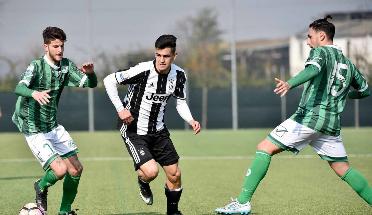 juveaveprimavera29.JPG