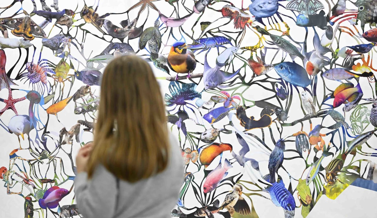 artissima junior 2023 day 2 19