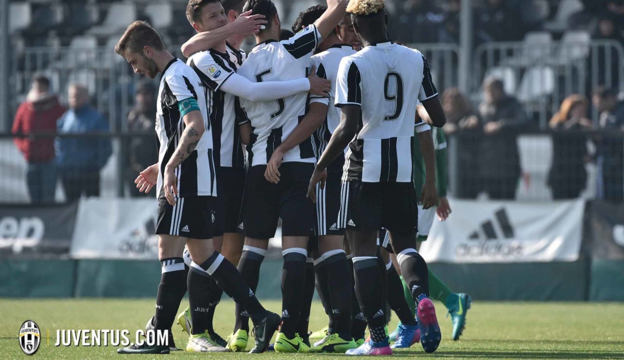 juveaveprimavera21.JPG