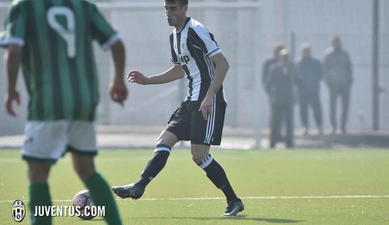 juveaveprimavera17.JPG