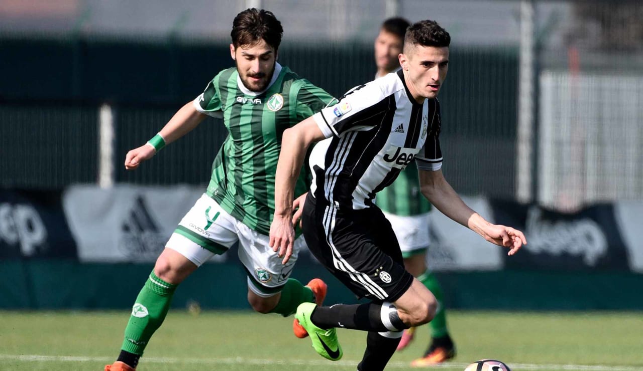 juveaveprimavera26.JPG