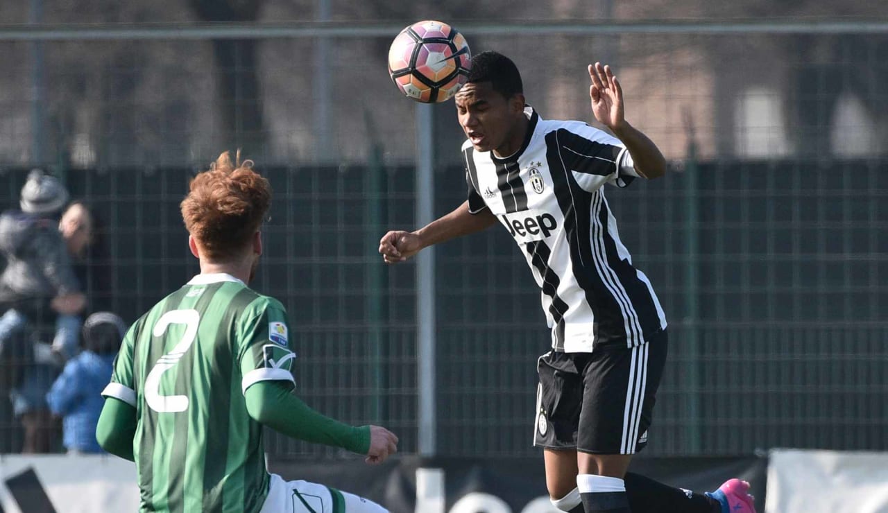 juveaveprimavera13.JPG