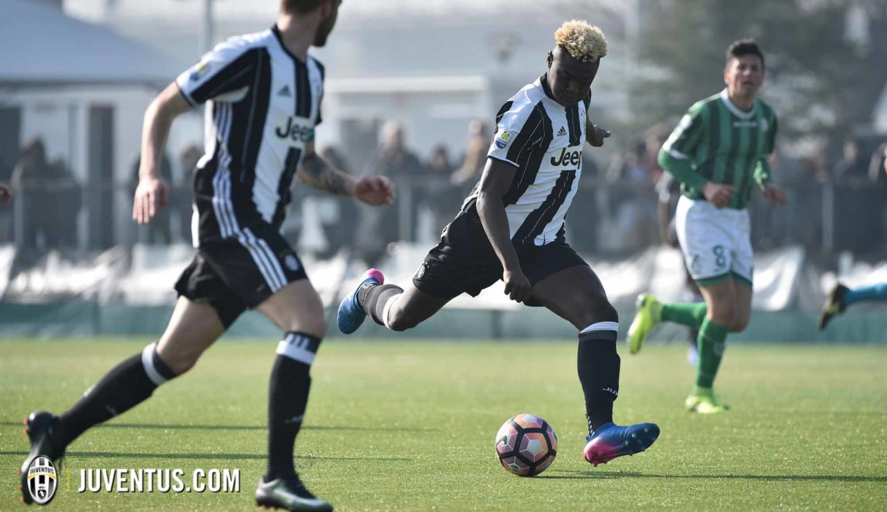 juveaveprimavera05.JPG