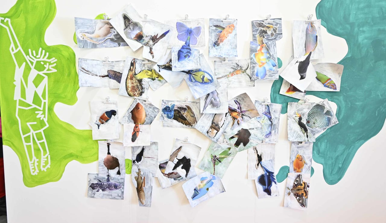 artissima junior 2023 day 2 4