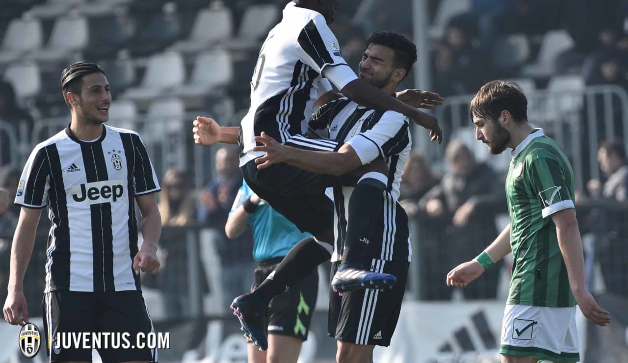 juveaveprimavera19.JPG