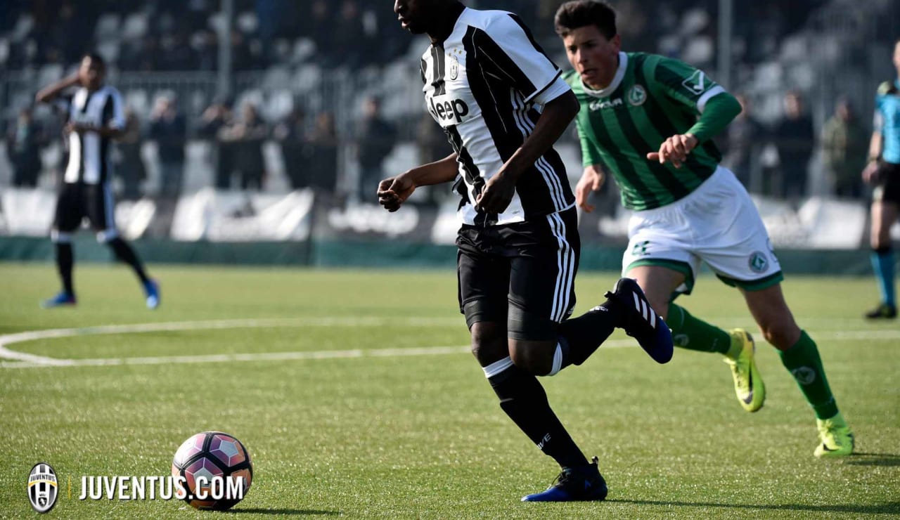 juveaveprimavera06.JPG