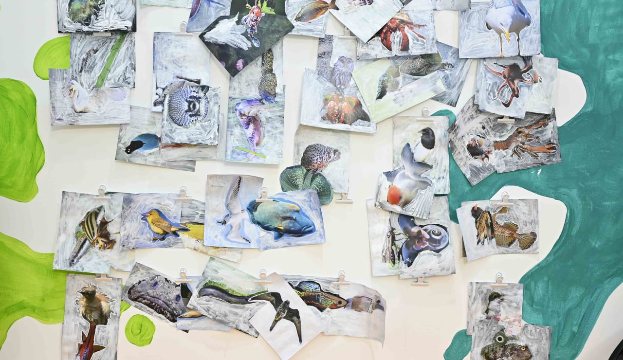 artissima junior 2023 day 2 37