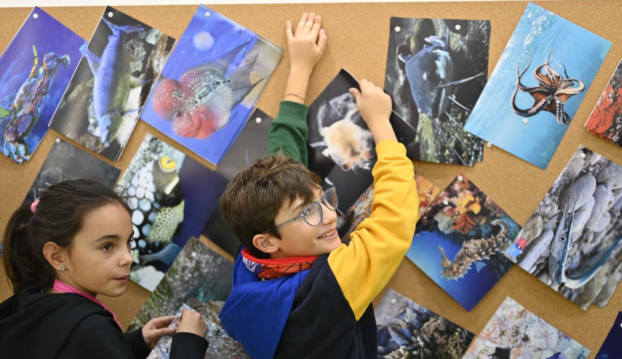 artissima junior 2023 day 2 40