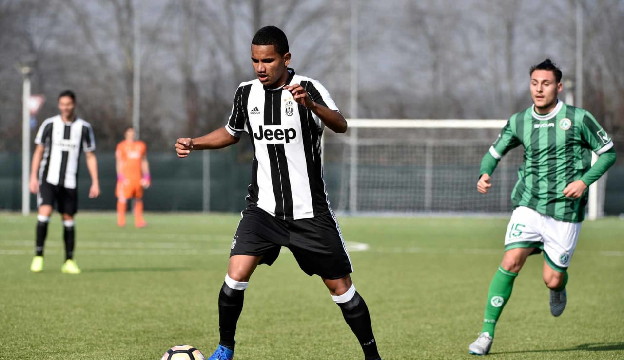 juveaveprimavera25.JPG