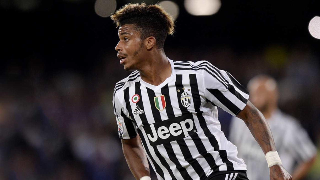 lemina_1.jpg