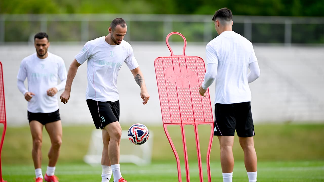 Gatti_allenamento