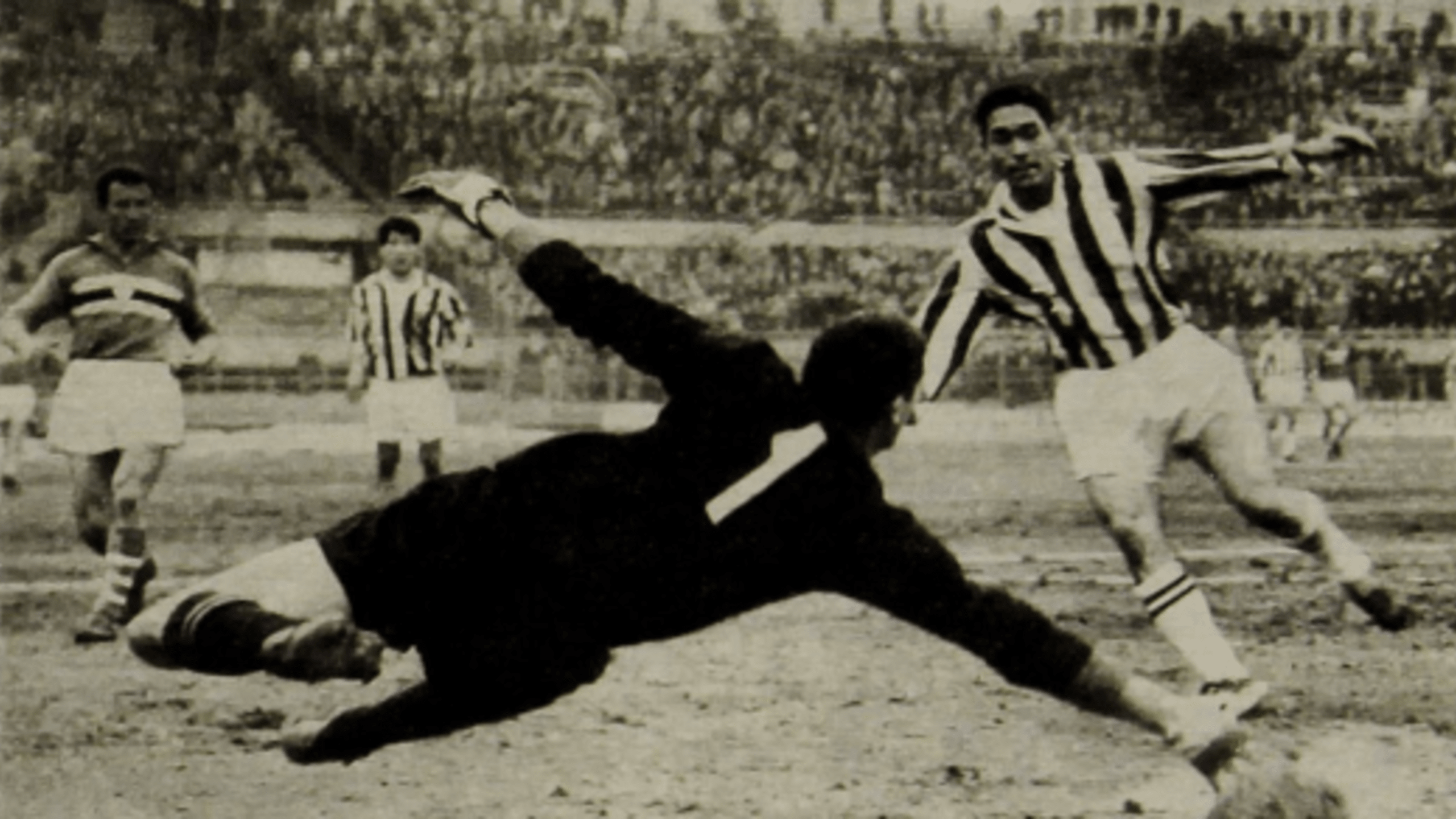 به یاد دینو دا کاستا