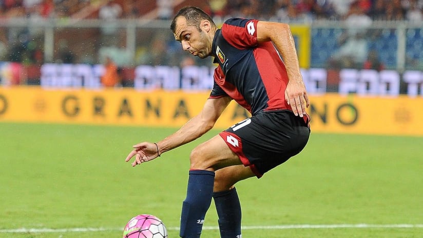 Pandev