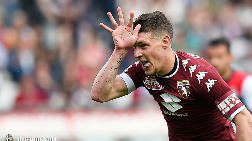 wm_belotti.jpg