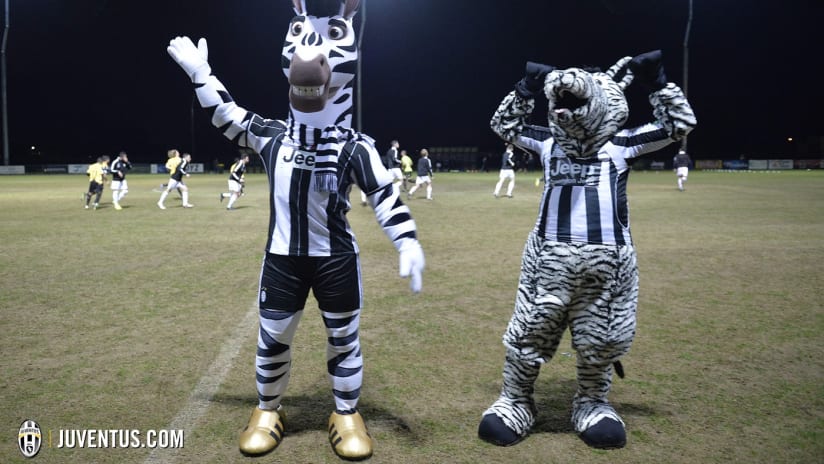 ZEBRAS022.jpg