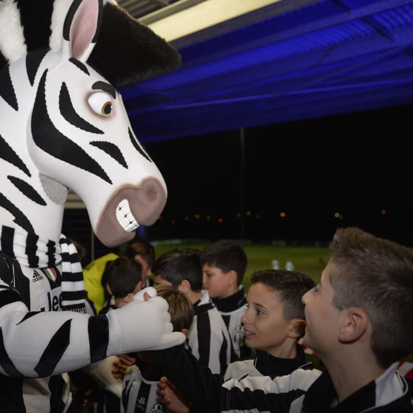 #SupportZebras