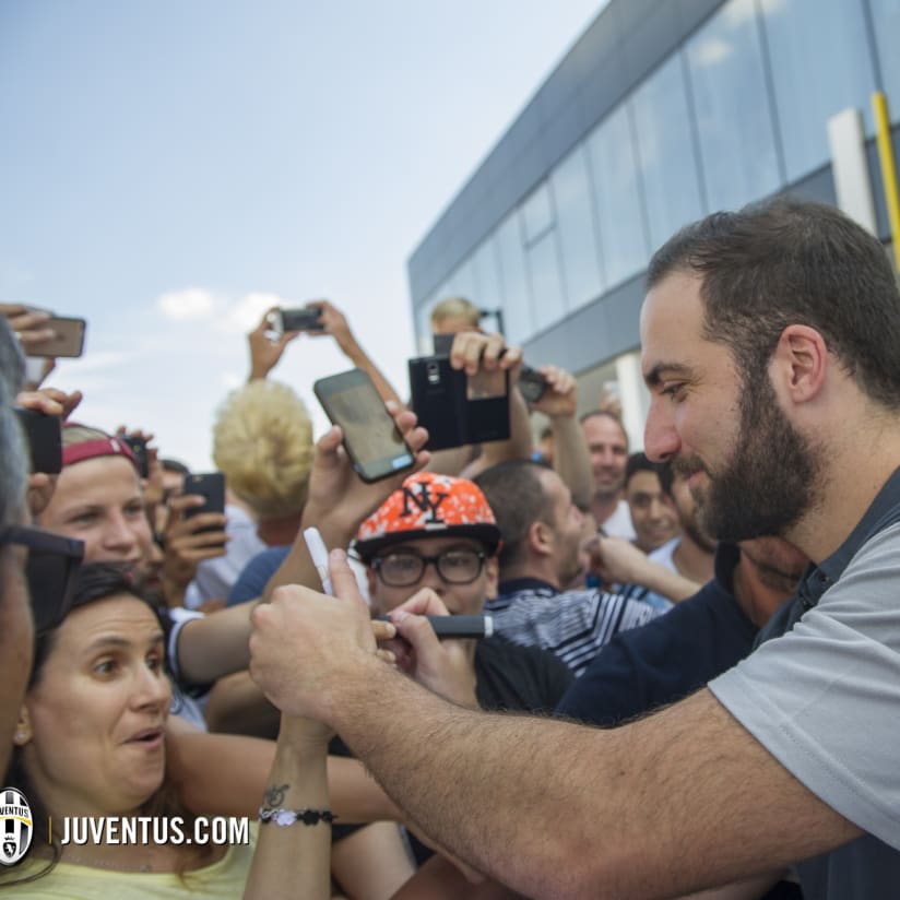 Bienvenido Pipita! 