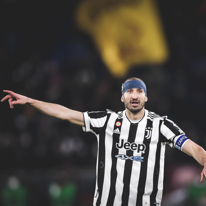 Gallery | No fear no Pain