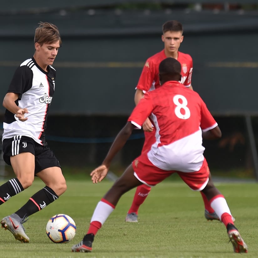 GALLERY | Primavera-Monaco
