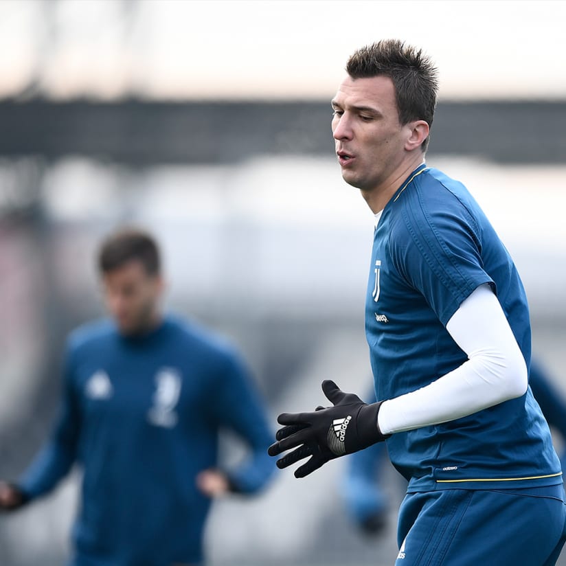 Working towards Bologna