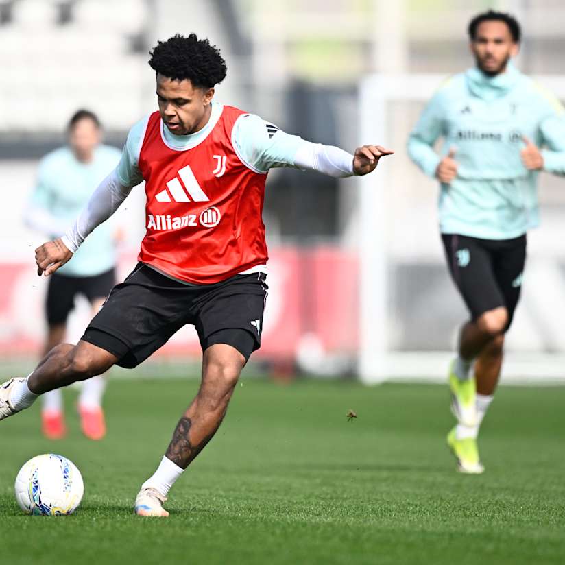 Gallery | Prepping for Pisa