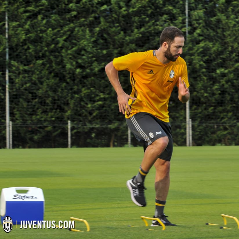Pipita hits the ground running