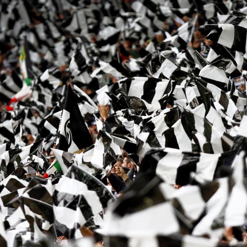 live_tifosi.jpg