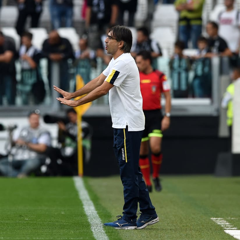 Focus | Eye on Hellas Verona