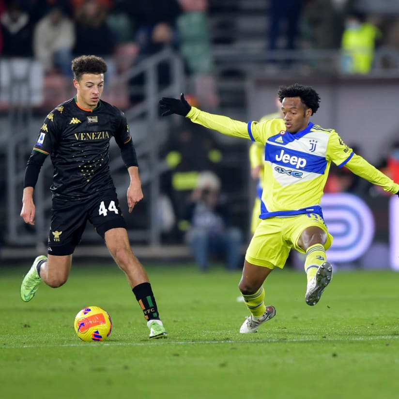 OPPOSITION FOCUS | VENEZIA