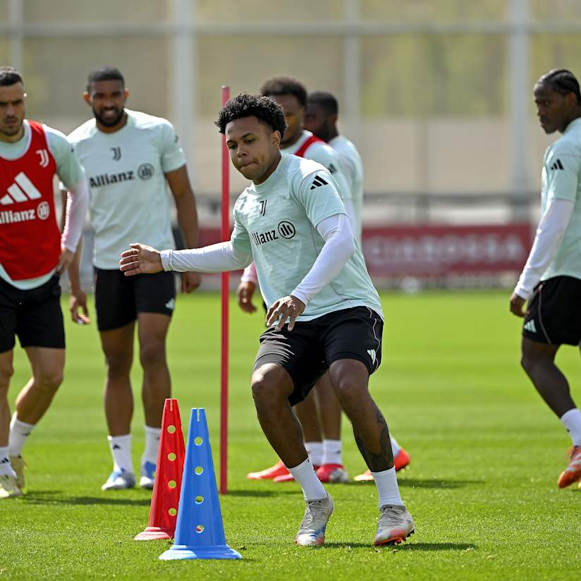 Gallery | Prepping for Bologna