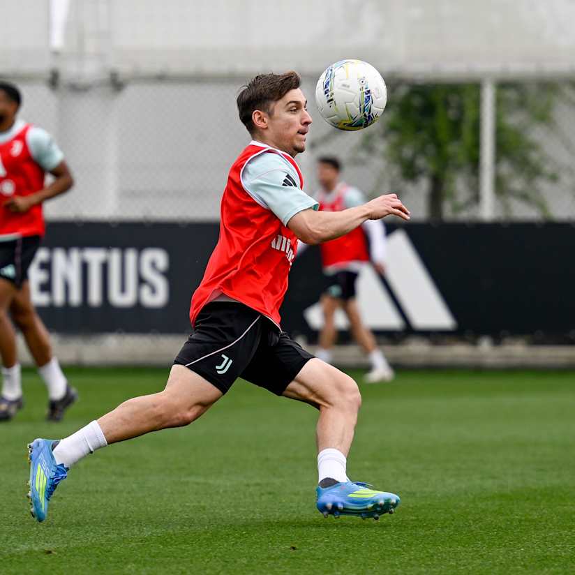 Gallery | Full focus on Fiorentina