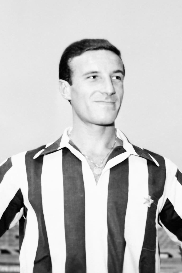 In memory of Ernesto Castano
