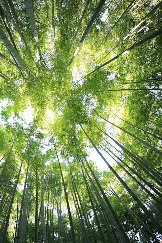 kazuend-19SC2oaVZW0-unsplash